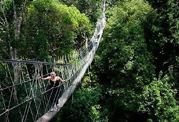 tour operator taman negara